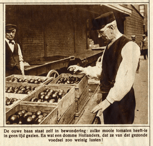 98875 Afbeelding van een man die tomaten keurt die zijn aangevoerd op het terrein van het Gebouw voor Groenten- en ...